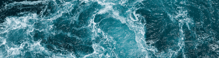 Scientists Found The "Death Ball" Creature In The Ocean