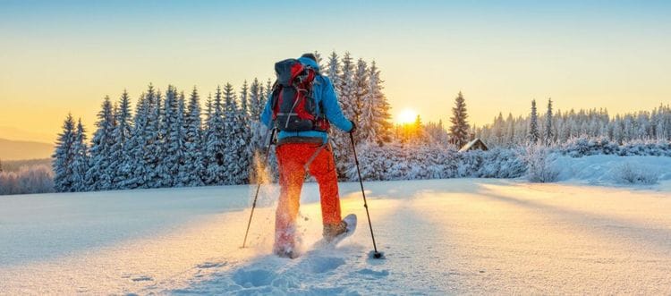 Why You Should Try Nordic Walking This Winter