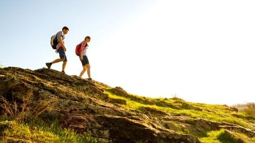 The Psychology Behind the "Alpine Divorce"