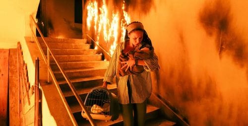 Why Carrying a Dog Out of a War Zone Is the Rational Choice